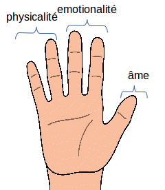 hand signif